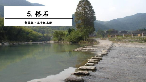 【部编版】五年级上册语文《搭石》完美推荐