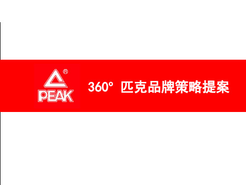 匹克品牌360o策略提案-29P(PPT29页)