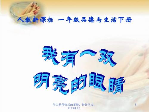 人教版小学品德一年级下册《10我有一双明亮的眼睛》PPT课件 (1)