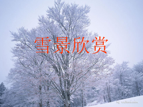 写雪的作文指导ppt课件