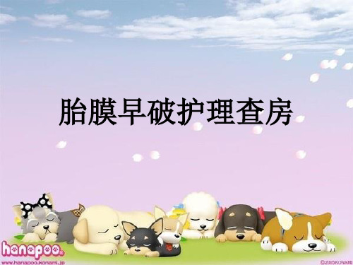 妇产科护理查房