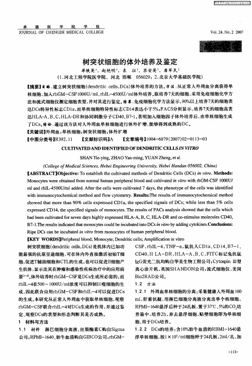 树突状细胞的体外培养及鉴定