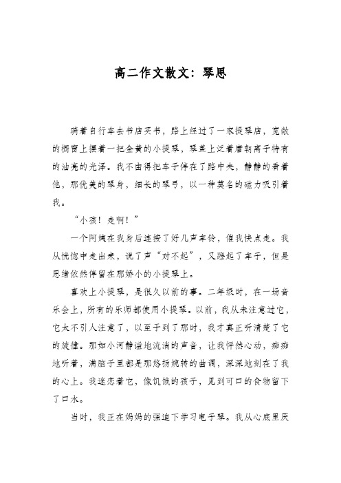 高二作文散文：琴思