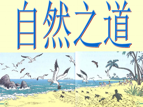 《自然之道》PPT课件