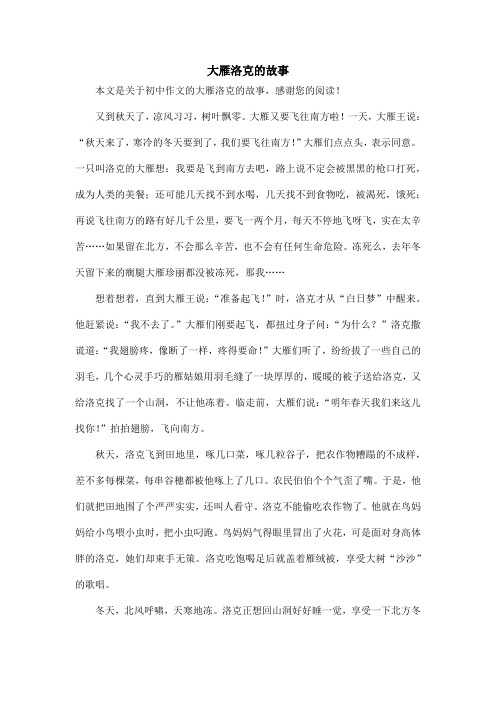 大雁洛克的故事_初中作文