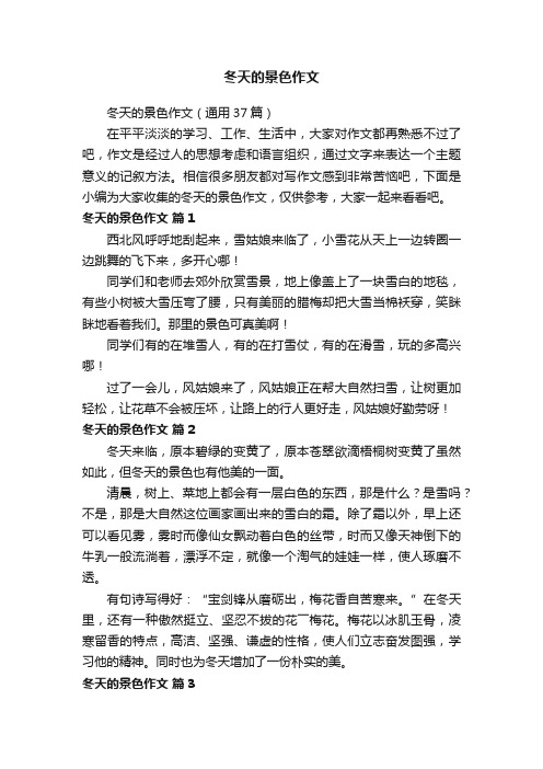 冬天的景色作文