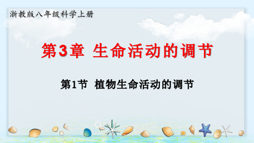 浙教版八年级科学上册3.1 植物生命活动的调节(教学课件)