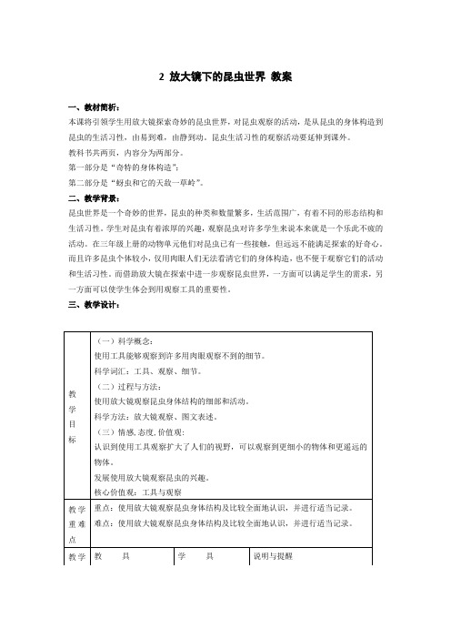 科学《放大镜下的昆虫世界》教案(三套)