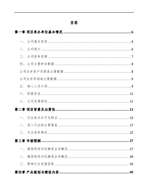 年产xxx千套精密冲压模具项目企划书范文模板