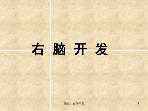 课题：右脑开发ppt课件