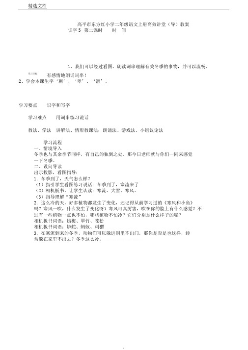 苏教小学语文二年级上册《识字5寒流大雪北风》教案1