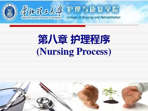 第8章-护理程序  ppt课件