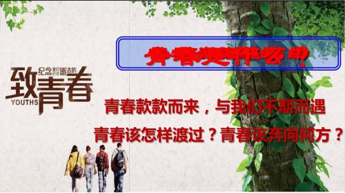 人教版《道德与法治》七年级下册 3.1 青春飞扬 课件(共18张PPT)