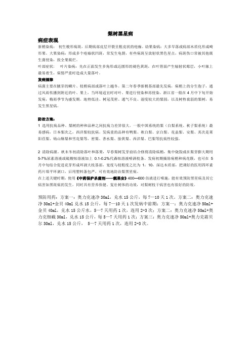 梨树黑星病