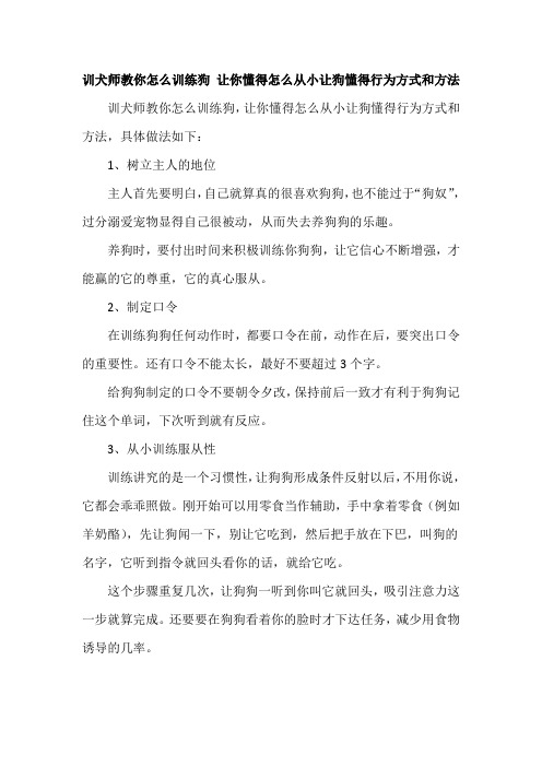 训犬师教你怎么训练狗 让你懂得怎么从小让狗懂得行为方式和方法