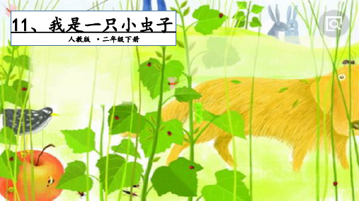 部编版六年级语文(下)PPT《我是一只小虫子》完整版ppt