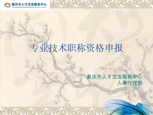 2013职称培训终极版本S资料教程