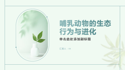 哺乳动物的生态行为与进化的教学