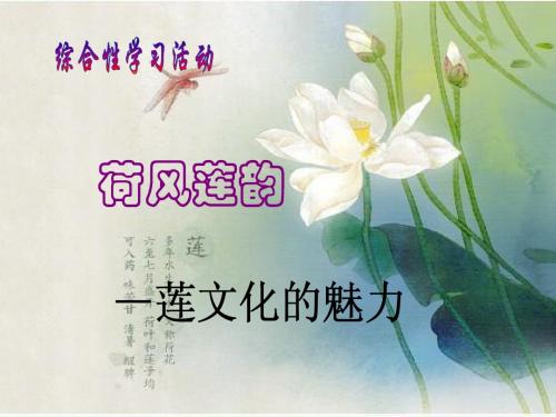荷风莲韵