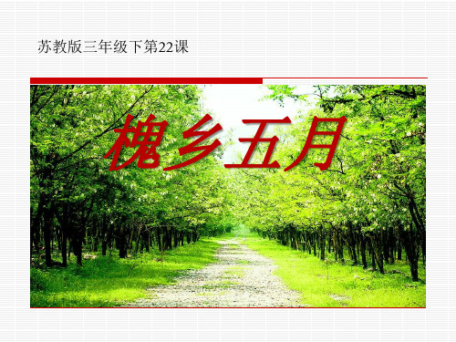 《槐乡五月》PPT教材课件