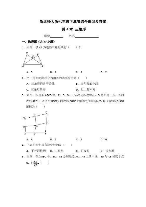 新北师大版七年级下章节综合练习及答案 第4章 三角形