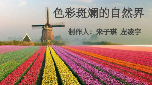 色彩斑斓的自然界ppt课件