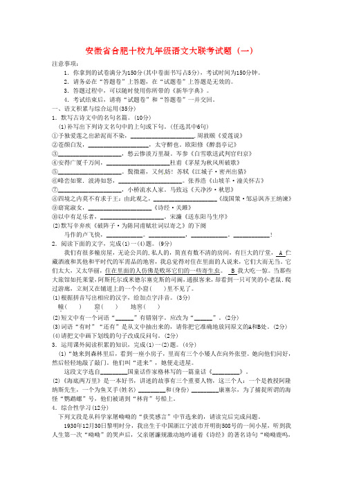 安徽省合肥十校九年级语文大联考试题(一)
