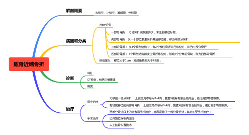 4. 肱骨近端骨折