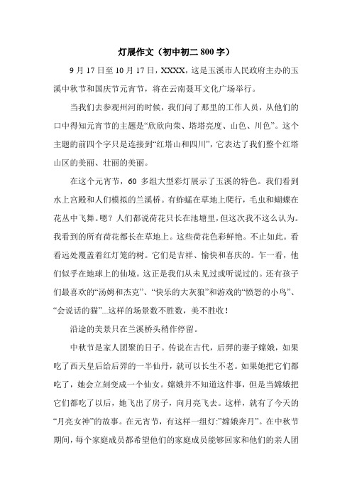 灯展作文(初中初二800字).doc