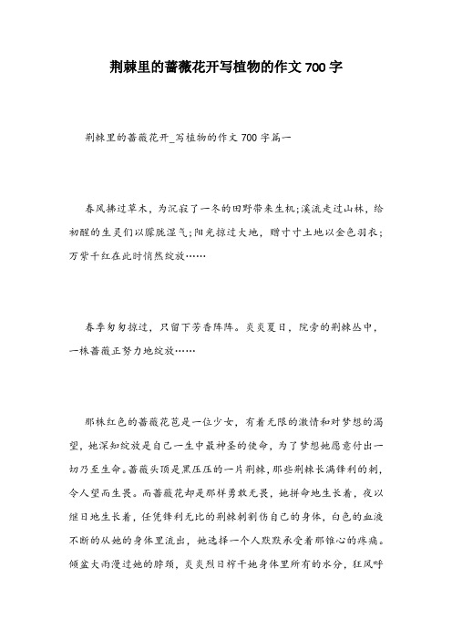 荆棘里的蔷薇花开写植物的作文700字
