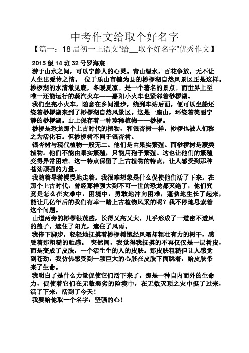 中考作文给取个好名字