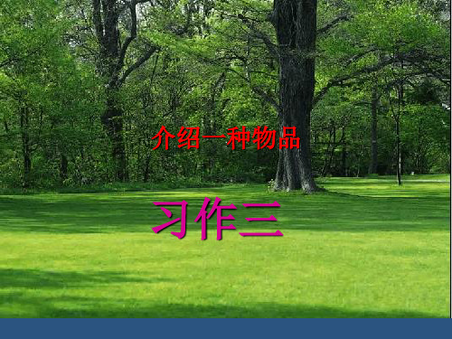 人教新课标五年级语文上册《习作三》课件