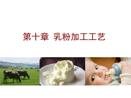 乳粉加工工艺解读