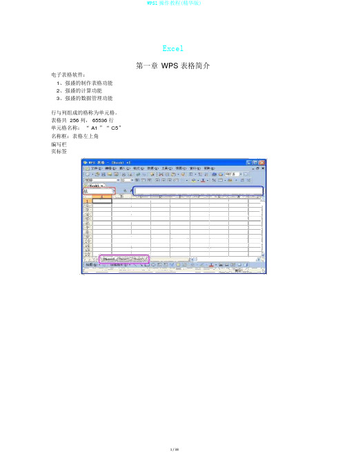 WPSl操作教程(精华版)