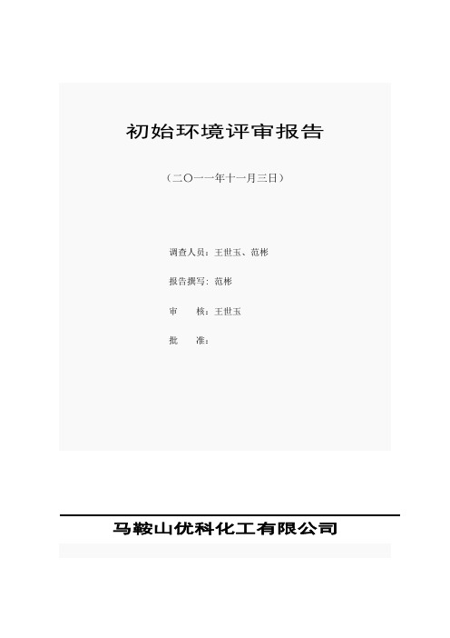 初始环境评审报告