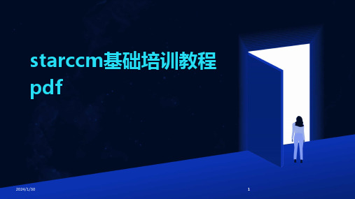 2024版starccm基础培训教程pdf