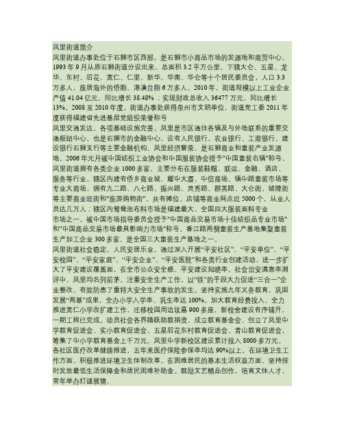凤里街道简介11(精)