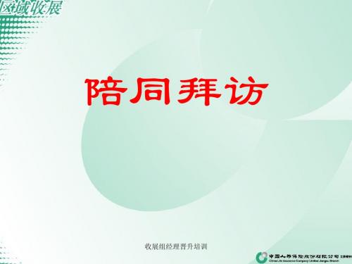 陪访的技巧.ppt18页