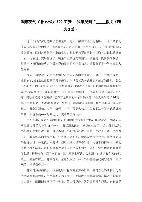 我感受到了什么作文600字初中 我感受到了_____作文(精选3篇)