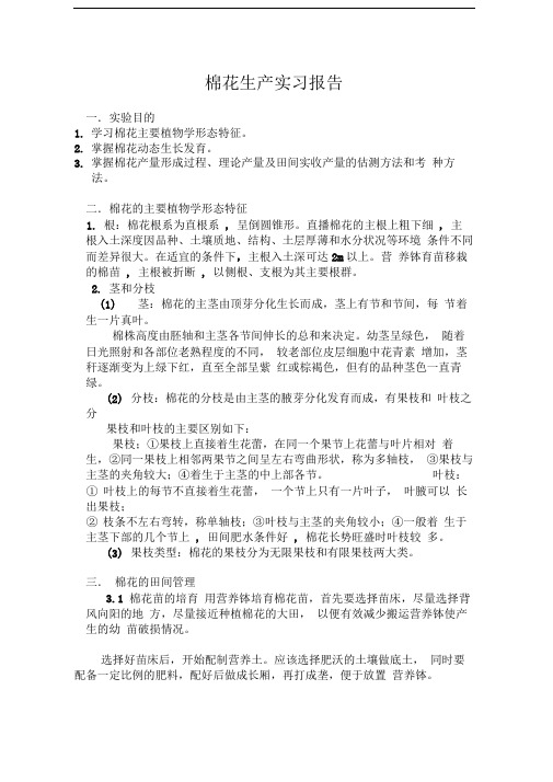 棉花生产实习报告
