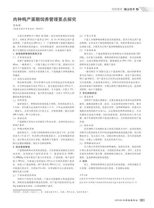 肉种鸭产蛋期饲养管理要点探究