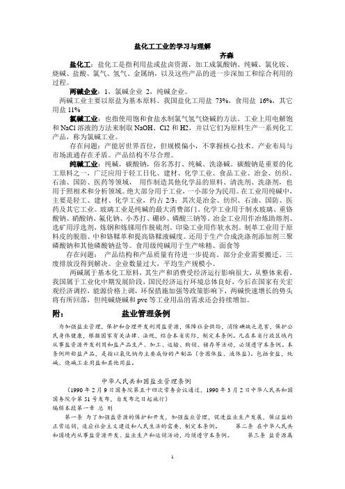 盐化工工业