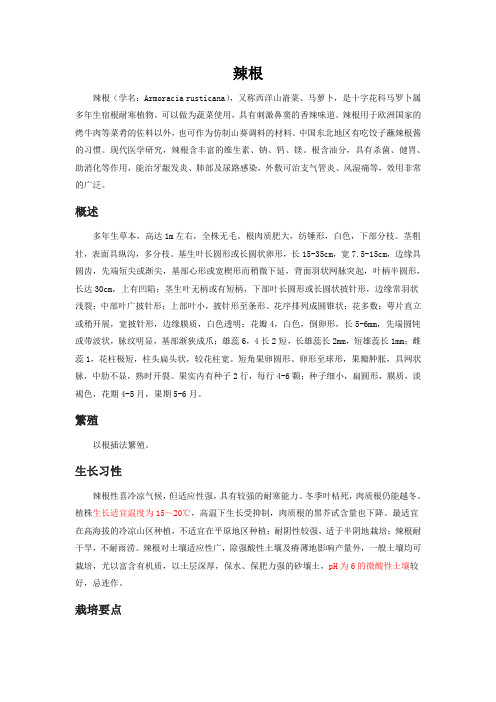 辣根