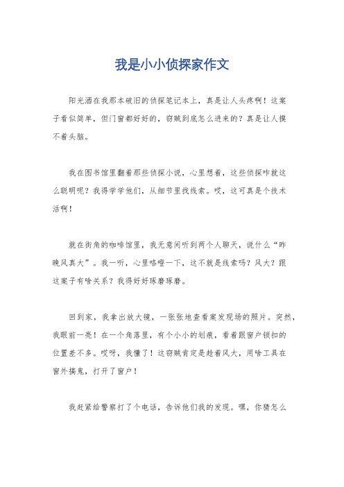 我是小小侦探家作文