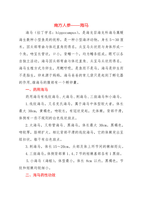 南方人参——海马