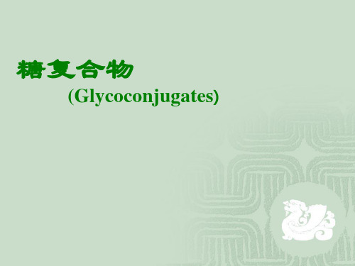 糖复合物(生物化学二)