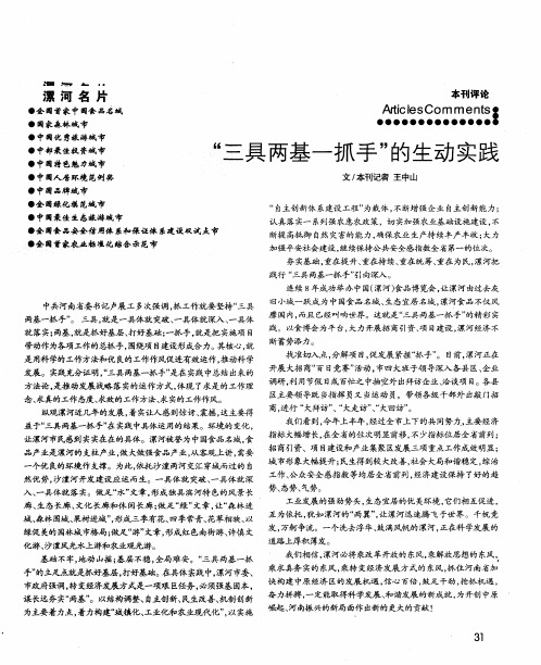 “三具两基一抓手”的生动实践