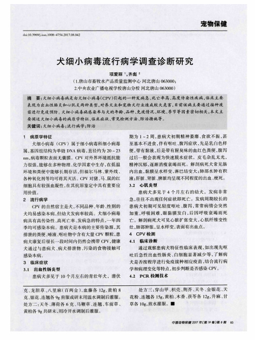 犬细小病毒流行病学调查诊断研究