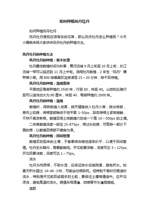 如何种植凤丹牡丹