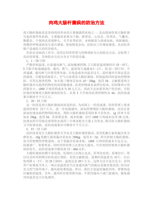 肉鸡大肠杆菌病的防治方法